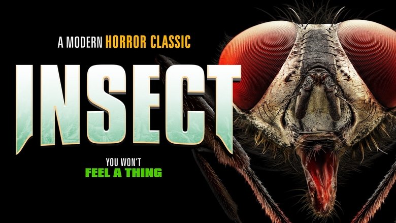 Insect