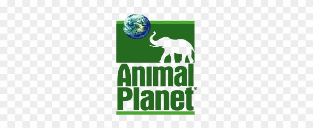 ANIMAL PLANET