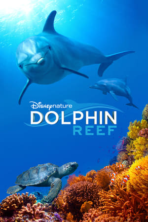 movie-card
