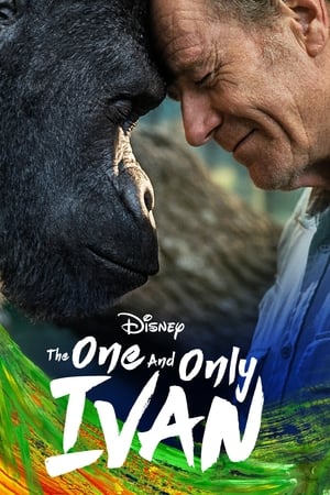 movie-card