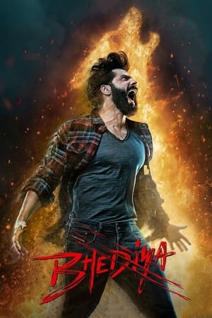 movie-card