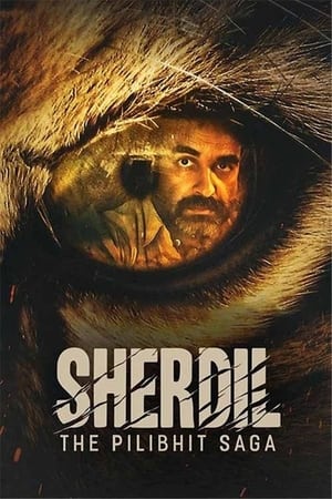 movie-card